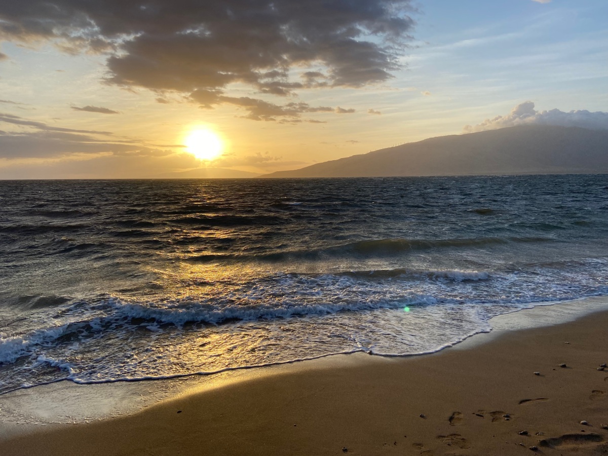 Maui – Day 7 (Apr 7, 2022) – Ocean Vodka & Surfing Goats